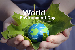 World environmental day | green time on the road