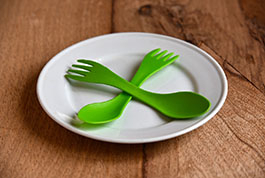 63-3-eco friendly dinner plates.jpg